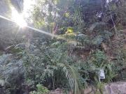 Terreno en venta en Zona Hotelera Sur, Puerto Vallarta,...