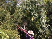 Terreno en Venta en Zona Turística de Cozumel