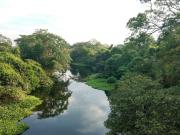 TERRENO EN VENTA ENMEDELLIN, VERACRUZ, JUNT AL RIO