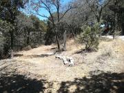 TERRENO EN VENTA “ESTANZUELA MINERAL DEL CHICO”