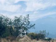 Terreno en Venta, Estricta Seguridad, Flor de Piedra,...