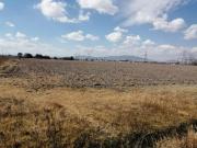 TERRENO EN VENTA, EX HACIENDA LA ESTANZUELA, EN ALMOLOYA...