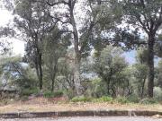 Terreno en venta Fogueres de Montsoriu