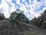 Terreno en Venta, Fracc. Diana Natura en La Venta del...