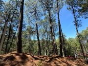 Terreno en Venta, Fracc. Las Azaleas en Mazamitla, Jalisco