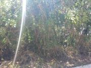 Terreno en Venta Fraccionamiento Lagos del Sol, Cancún Q.R