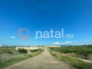 TERRENO EN VENTA, Fraccionamiento Las Cañadas,...