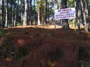 Terreno en venta fraccionamiento pinos de Mazamitla