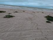Terreno en Venta frente a la playa Chuburná Puerto