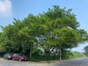 Terreno en venta frente al DIF matamoros, Veracruz, Ver