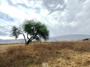 TERRENO EN VENTA FRENTE AL LAGO DE CAJITITLAN