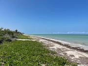 Terreno en venta frente al mar en Chicxulub Puerto 20...