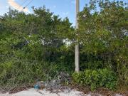 Terreno en venta frente al mar ubicado en sisal