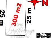 TERRENO EN VENTA, GRAN JARDÍN, 300m2, VISTA LLENA A LA...