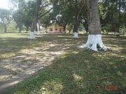 Terreno en venta, Hidalgo s/n Veracruz