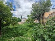 TERRENO EN VENTA IGNACIO PEREZ, CENTRO 6