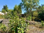 Terreno en Venta Jardines del Pedregal