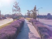 TERRENO EN VENTA | LA ESPIGA, QUERÉTARO