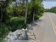 TERRENO EN VENTA, LA ESTANZUELA