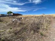 Terreno en Venta Labor de Terrazas Chihuahua