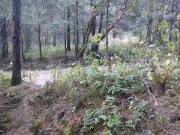 Terreno en venta Lerma Cañada de Alférez