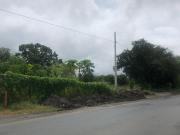 Terreno en Venta Linares, N.L