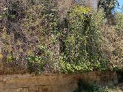 Terreno en Venta, Lomas Anahuac, Naucalpan