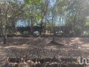 Terreno en Venta Lomas de Atzingo, Lomas de Atzingo,...