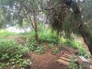 TERRENO EN VENTA LOMAS DE TETELA