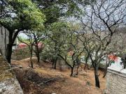 Terreno en Venta Lomas de Vallescondido Atizapán de Zaragoza