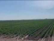 Terreno en venta Lorca