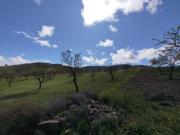 Terreno en venta Lorca