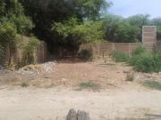 TERRENO EN VENTA LOS EJIDOS DEL NORTE PIURA