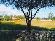 Terreno en Venta, Estado de Guanajuato, Ciuadad de Leon,...