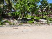 TERRENO EN VENTA MAHAHUAL, LA CASONA, FRENTE AL MAR