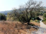 Terreno en venta Manilva