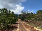Terreno en venta Mazamitla en Conodminio Privado Sierra...