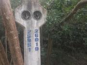 TERRENO EN VENTA MÉRIDA, UBICADO EN SAN LUIS CHOLUL