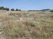 Terreno en venta Monovar Monover