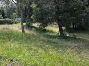 Terreno en Venta Monteserrin Bromelias 2,940m Listo para...