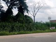 Terreno en venta municipio San diego MS 9343737