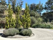 Terreno en venta, MURMULLO Bosque Real