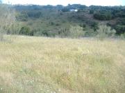 Terreno en venta Navas del Rey