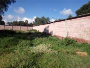 Terreno en VENTA o RENTA en San Mart?n de las Pir?mides