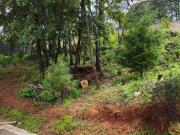 TERRENO EN VENTA OLIVAR ALTOZANO