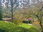 TERRENO EN VENTA. OLIVAR DE LOS PADRES