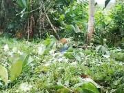 Terreno en venta, pacto