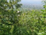 Terreno en Venta, Panoramico Loma Bonita, Jiutepec Morelos