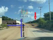 Terreno en venta para desarollo cerca de prol la luna y...