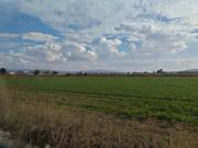 TERRENO EN VENTA PARA DESARROLLADORES EN CELAYA GUANJUATO